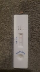 Is this a chemical pregnancy