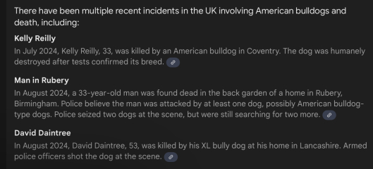 Another XL Bully Attack
