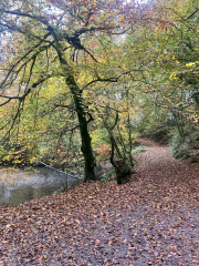 Mounjaro August starters #7