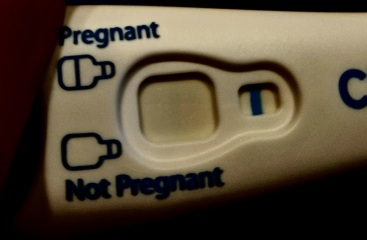 Fat evap lines on clearblue