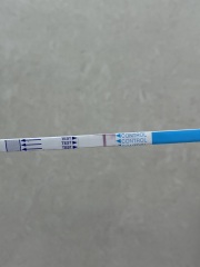 Evap line?