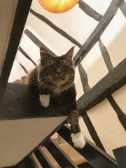 Come and tell me your dull and unexciting news 31: Calmly through the day