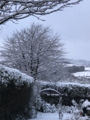 It’s snowing ❄️