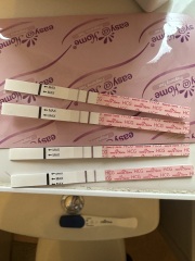 5 weeks pregnant