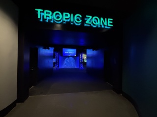 Come and tell me your dull and unexciting news 31: Calmly through the day