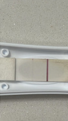 Evap line or positive?