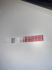 Nov 2024 TTC 💖 part 2 ✨