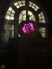 Daily Project Round 6