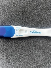 Clear blue evap line?