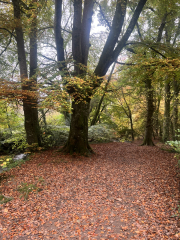 Mounjaro August starters #7