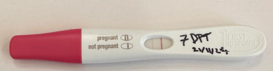 Anyone doing FET/IVF in November 2024?✨