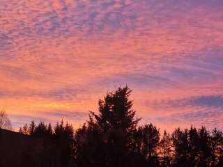 The Nigel Slater Christmas Chronicles Readalong 2024 Part 2