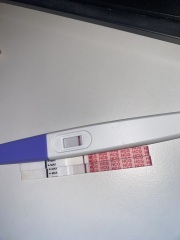 Nov 2024 TTC 💖 part 2 ✨