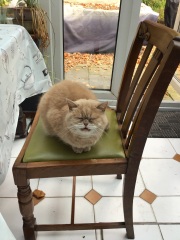 Come and tell me your dull and unexciting news 31: Calmly through the day