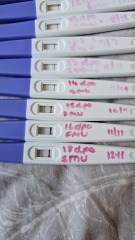 In limbo, 19dpo with no progression on tests and no AF