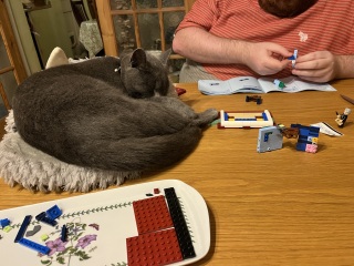 Trick or Cat Treat? The Excellent Cats do Halloween