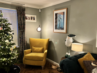Massive mistake re window blinds