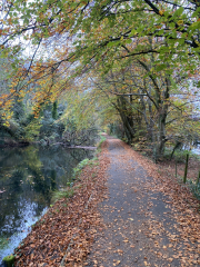 Come and tell me your dull and unexciting news 31: Calmly through the day