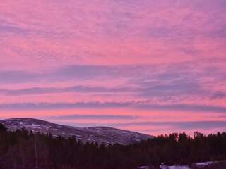 The Nigel Slater Christmas Chronicles Readalong 2024 Part 2