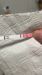 Does anyone see anything on these tests