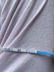 Evap line?