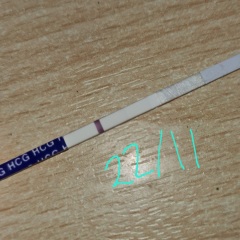 Tests not progressing - possible TW
