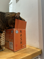 Week 3 - Pre-Christmas '24 Low Carb Bootcamp: Full, Light or Hybrid?