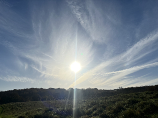 Mounjaro August starters thread 8