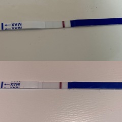 Nov 2024 TTC 💖 part 2 ✨