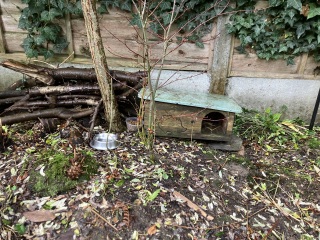 Bluestocking: Do androids dream of electric hair?