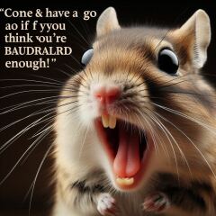 Autumn leaves, crackling fires, quokkas and puffins at the Bluestocking.