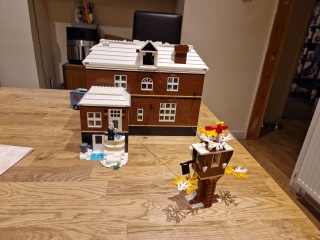 To show me your Lego collection?