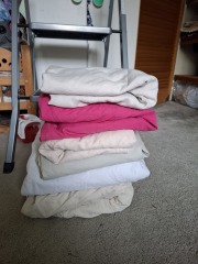 CHRISTMAS CLEANALONG