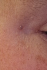 Anyone know what this is?