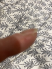What do you think this is?