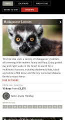 Madagascar or Borneo ?