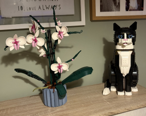 To show me your Lego collection?