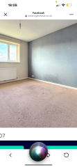 Buying a house with significant black moulds on walls