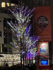 Come and tell me your dull and unexciting news 31: Calmly through the day