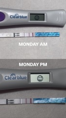 Low Premom readings?