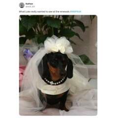 MAFS THREAD 16. We go into these final rows (and maybe some vows) with our narky-cysts, frozen faces, John's fanclub and flappy jeans with free titties. It's the final goodbye, until the next time. Please collect your Blue Peter badge at the end