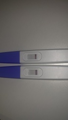 Nov 2024 TTC 💖 part 2 ✨