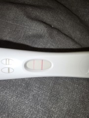 18dpo