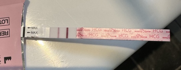 Test at 16DPO - is it dark enough?