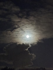 Come and tell me your dull and unexciting news 31: Calmly through the day