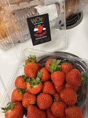 Come and tell me your dull and unexciting news 31: Calmly through the day