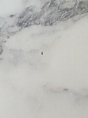 How to cover very small noticeable chip/Mark on worktop? k on