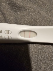 18dpo
