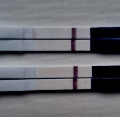 9dpo bfn am I out