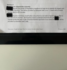 School isn’t working out. He has an EHCP. How do I fight for tutoring at home instead?